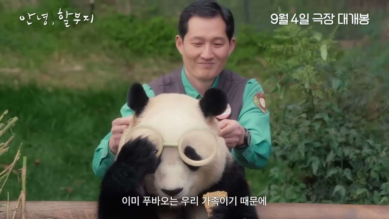 할부지와 바오패밀리의 환상케미🐼 《안녕, 할부지》 메인 예고편 CGV #최초공개 (출처:CGV)