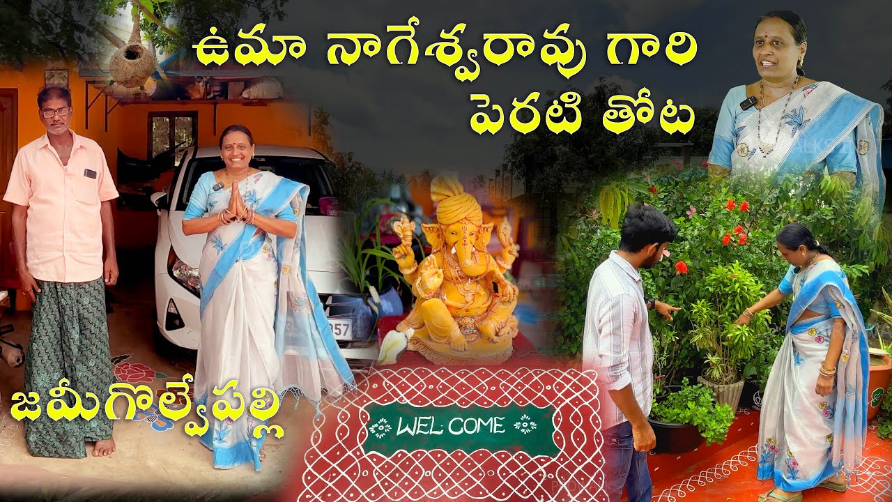 ఉమా నాగేశ్వరరావు గారి తోట అందాలు | Uma Nageswara Rao's Beautiful Garden Tour | CTG | Village Garden