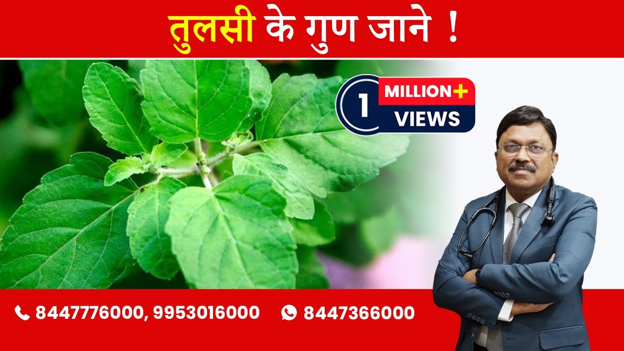 Tulsi / Holy Basil : The Queen of Herbs! | By Dr. Bimal Chhajer | Saaol