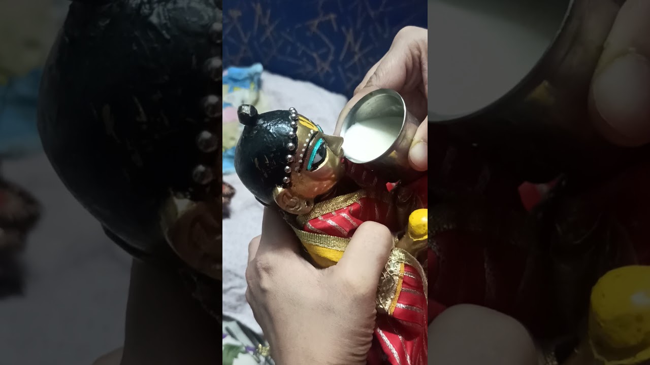 #shortsladdu gopal drinking milk  #ladduvlog