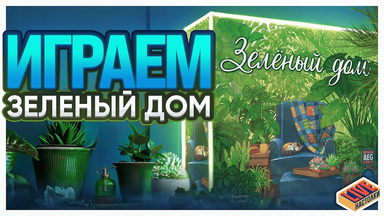 Играем в настольную игру Зеленый Дом