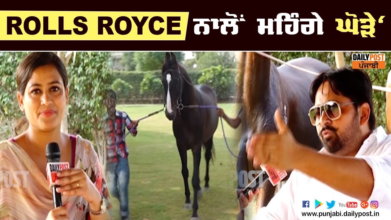SALMAN KHAN ਨੇ ਘੋੜਾ ਖਰੀਦਣ ਲਈ ਦਿੱਤਾ ਸੀ ਬਲੈਂਕ ਚੈੱਕ!