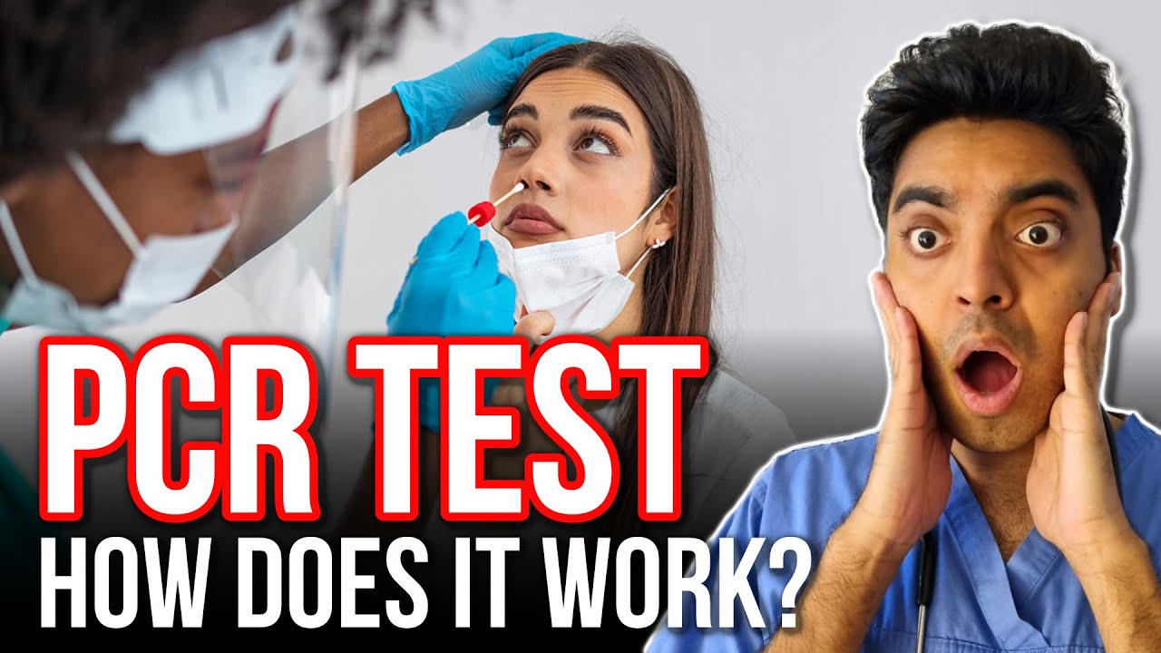 How Do PCR Tests Work?! #omicron #covid #shorts