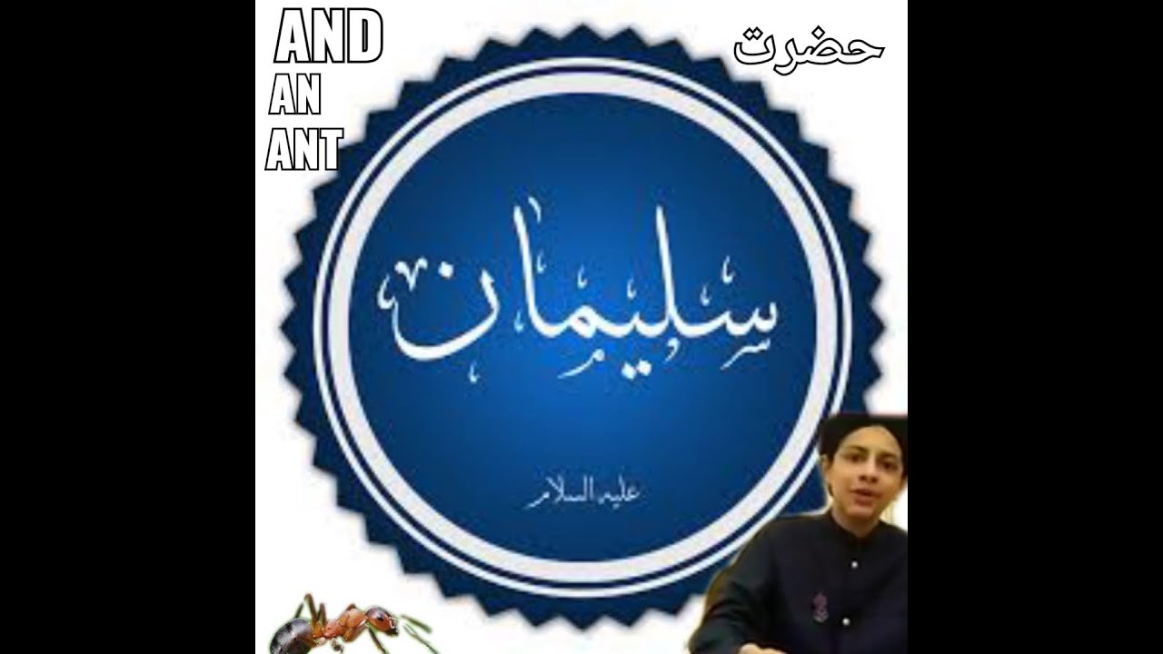 Hazrat suleman علیہ السلام and an ant | @ILMproductions |