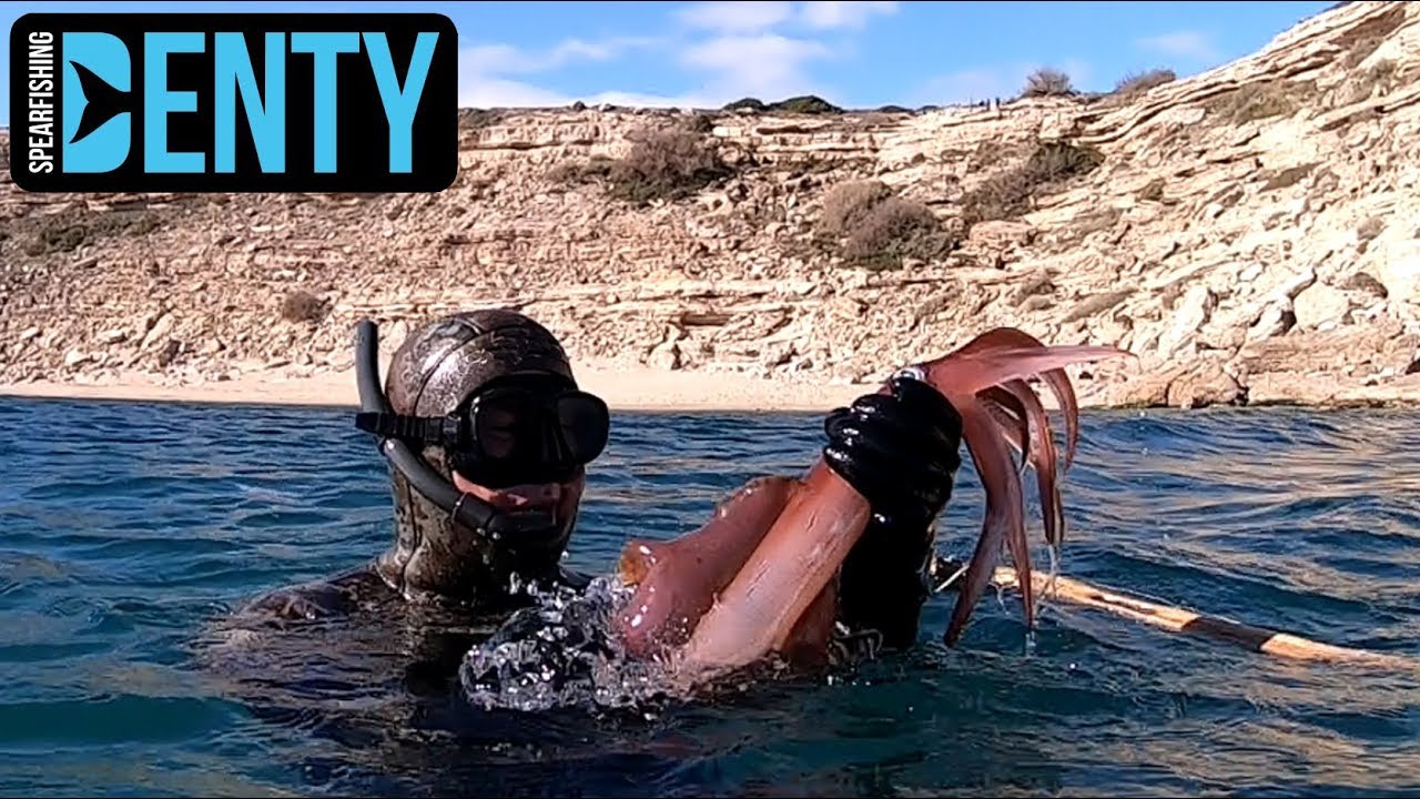 Chasse sous-marine aux Calamars en Hiver 2019