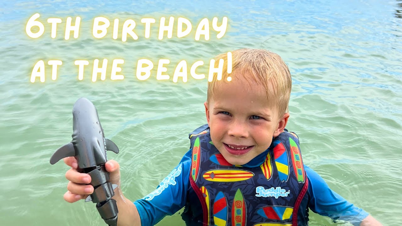 Our Miracle boys 6th birthday at the beach! | Meet the Millers Vlog
