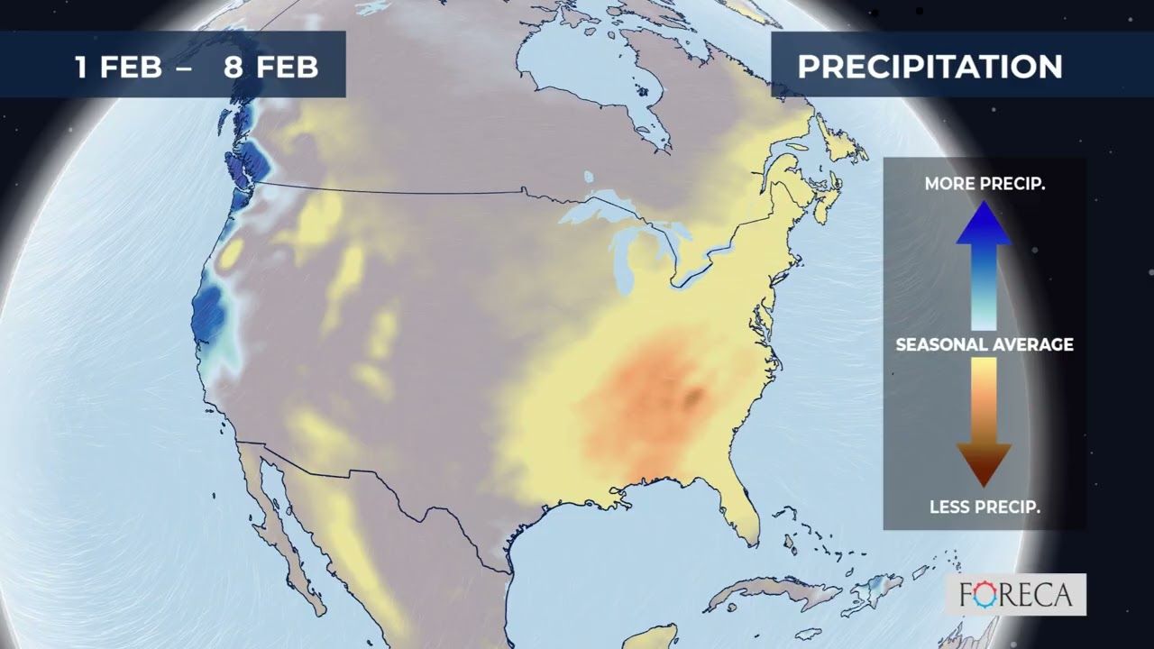 Monthly precipitation forecast for the USA 1/19/2026