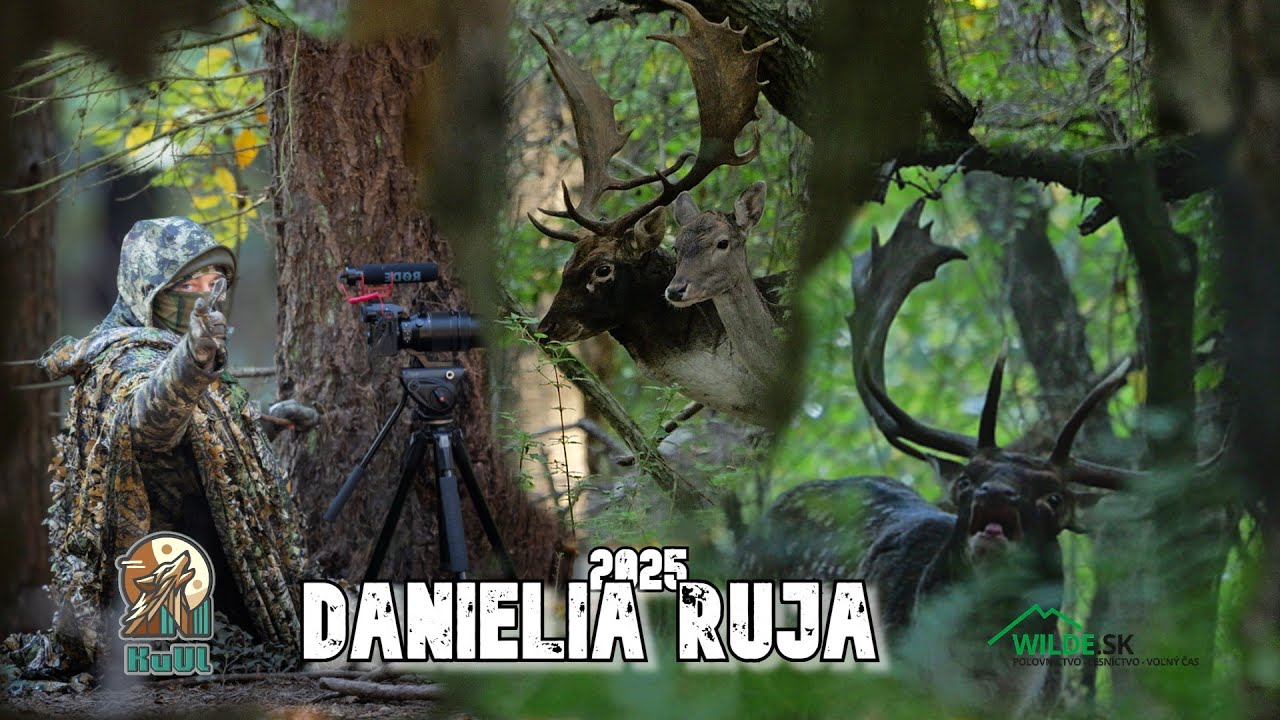 Danielia ruja 2025. Západné aj Východné Slovensko
