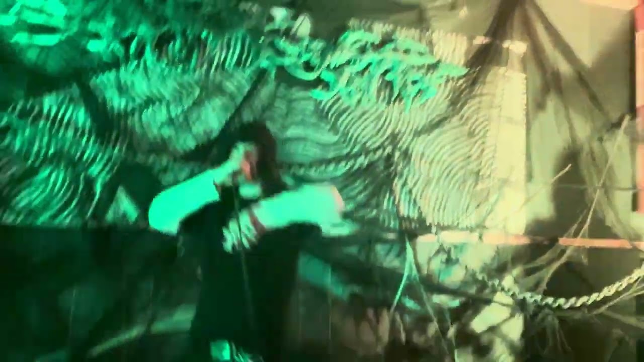 STEFANTAGGO ГДЕ МОЙ НОЖ LIVE 
