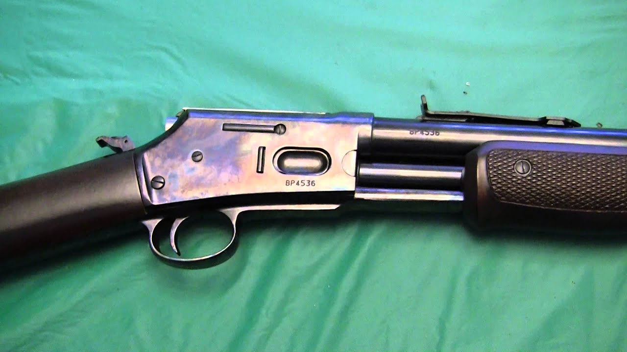 Overview of The taurus Thunderbolt Rifle