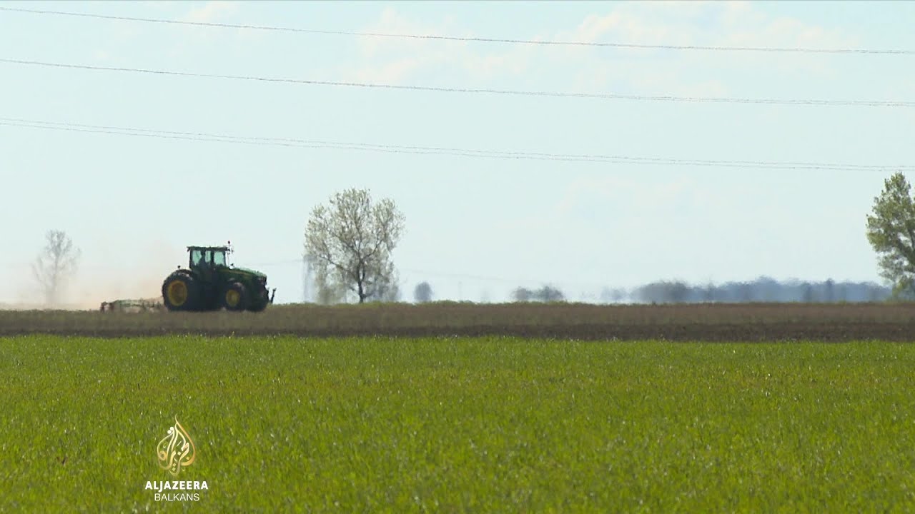 Brojni farmeri nezadovoljni podjelom državne zemlje u Hrvatskoj