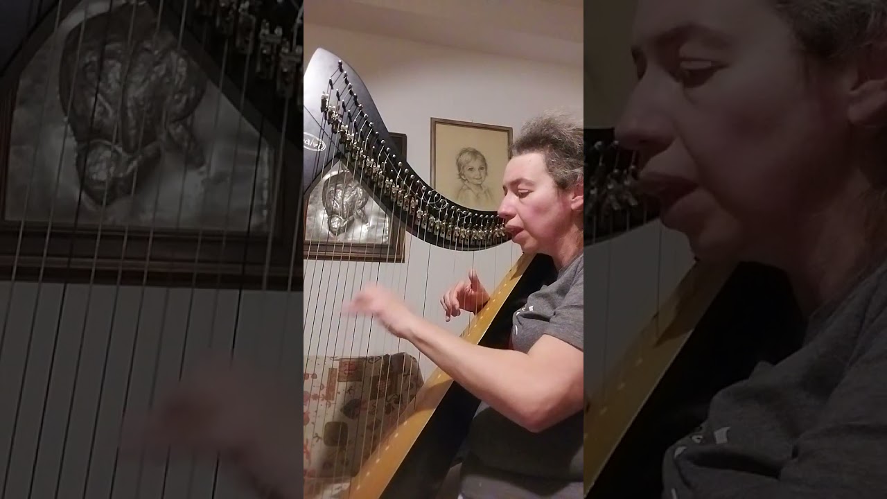 Stille Nacht - F. Gruber (cover)