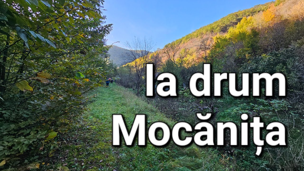 În pădurile Govâjdiei, pe fostul traseul feroviar al mocăniței
