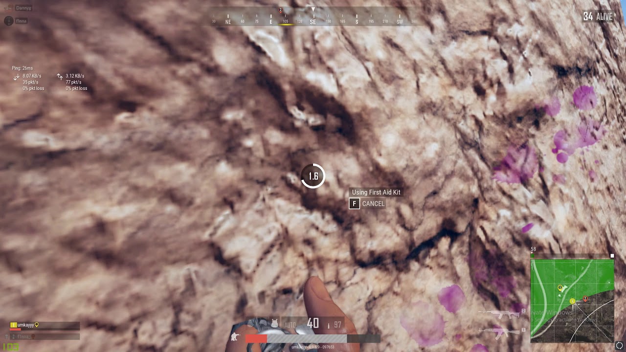 dog shit game