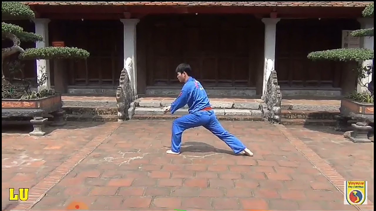 Tài liệu quay chậm. song dao pháp Vovinam.
