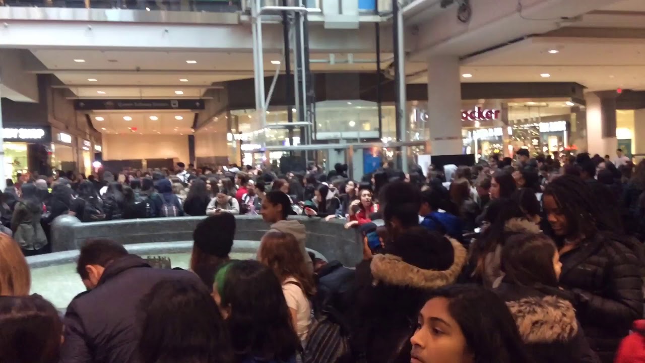 toronto tik-tok riot