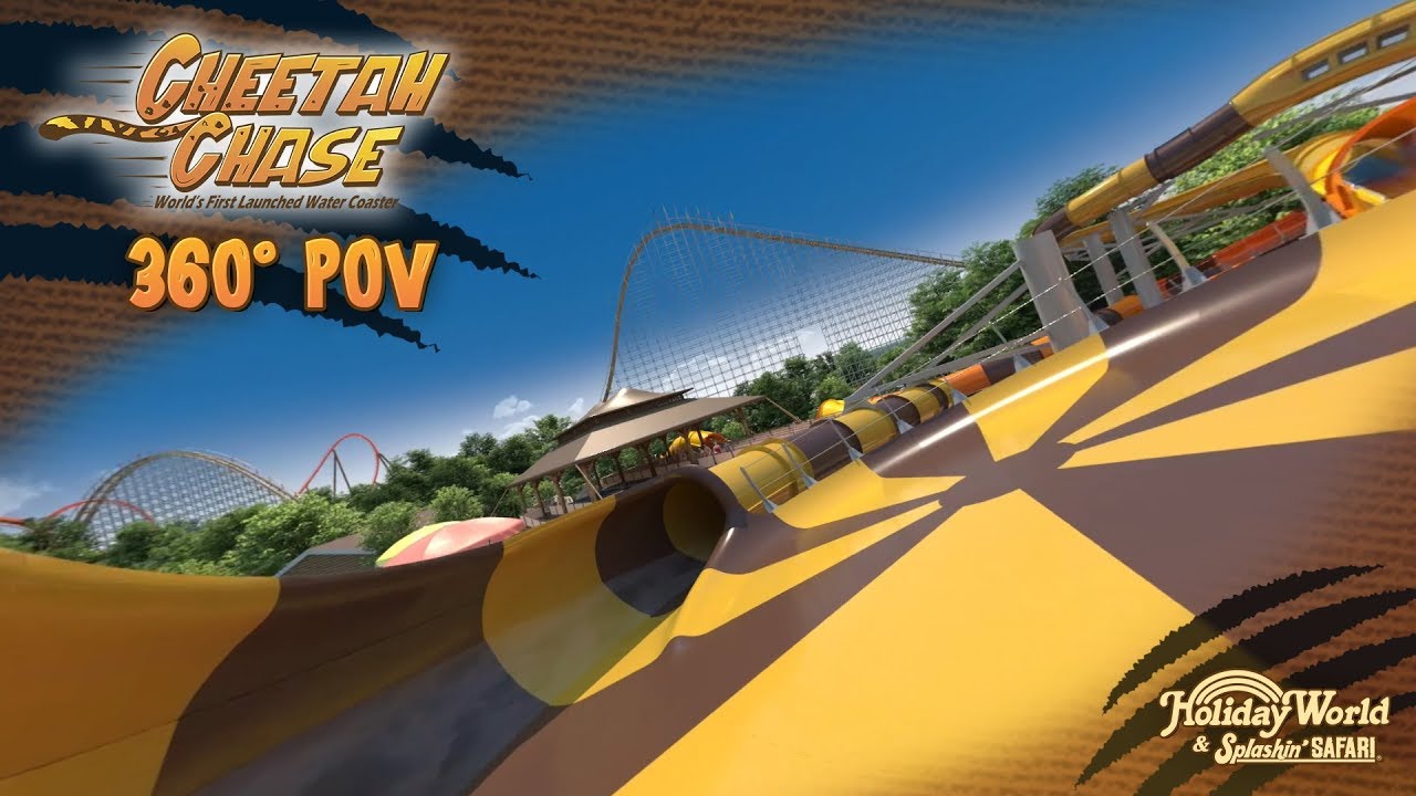 Cheetah Chase 360 POV