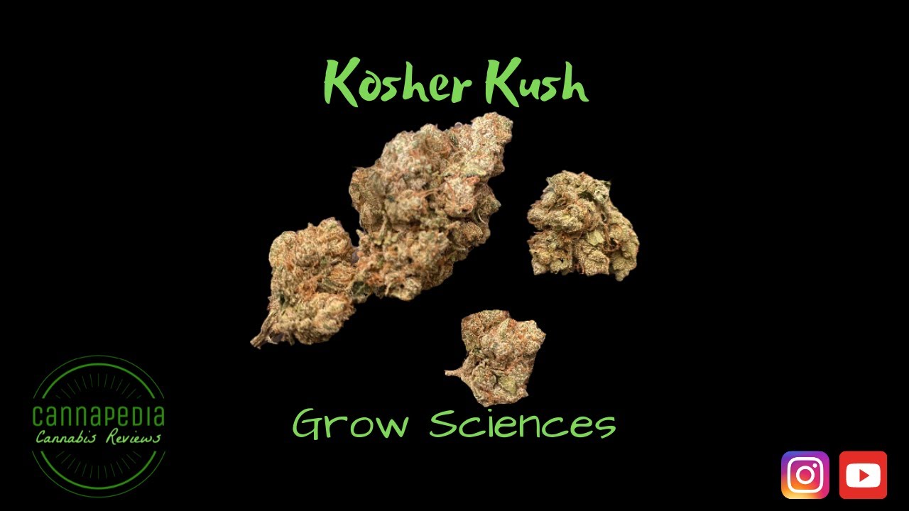Kosher Kush Strain Review - Grow Sciences - Cannapedia