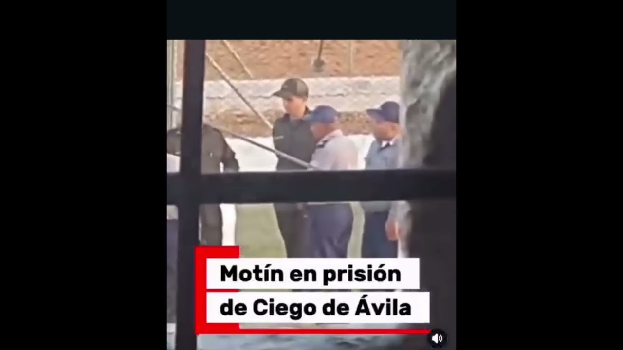 19 de febrero de 2026