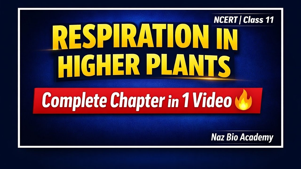 Respiration in Higher Plants | Complete NCERT Chapter Summary | Class 11 Biology