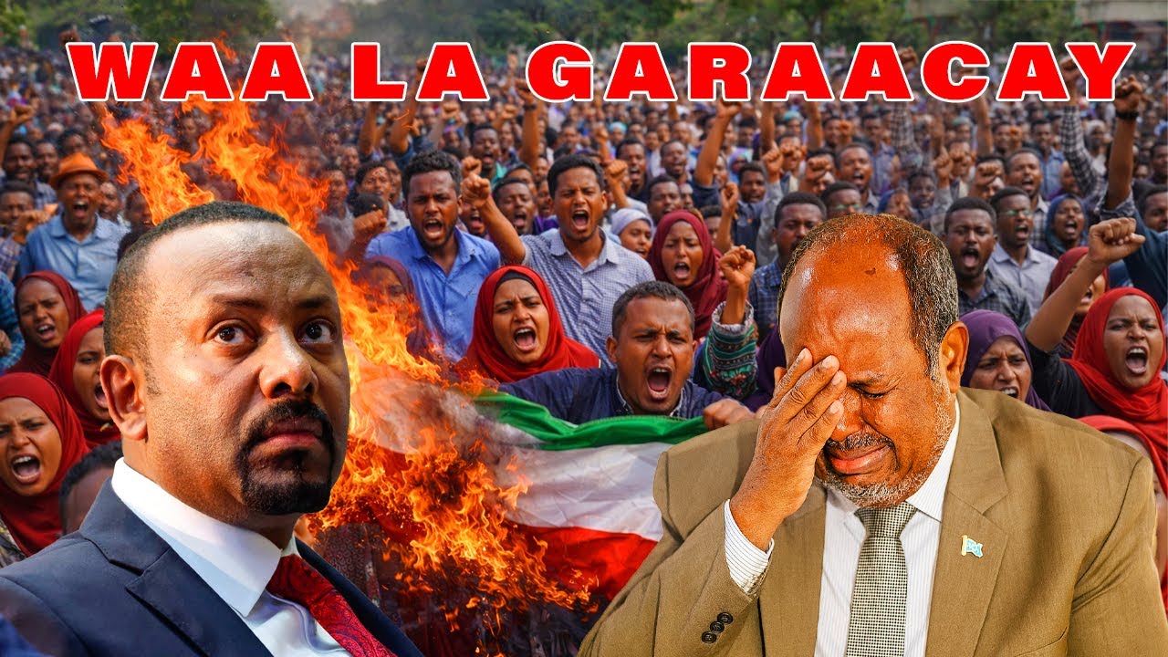 DAAWO: Shacabka Jigjiga oo Weeraray Xasan Sheekh? - Xaalada oo Faraha ka baxday!