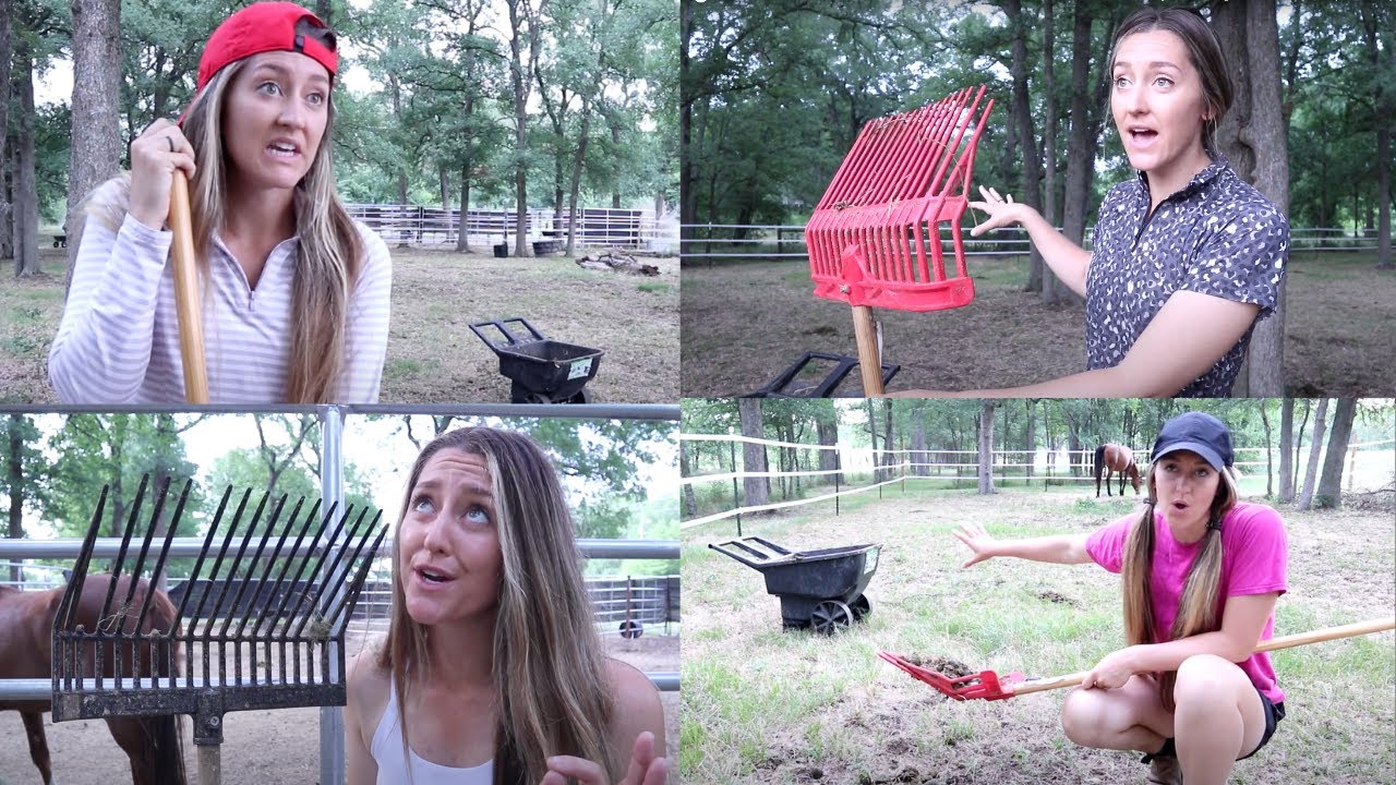 Types of Equestrians Mucking 😂 | Funny Horse Videos