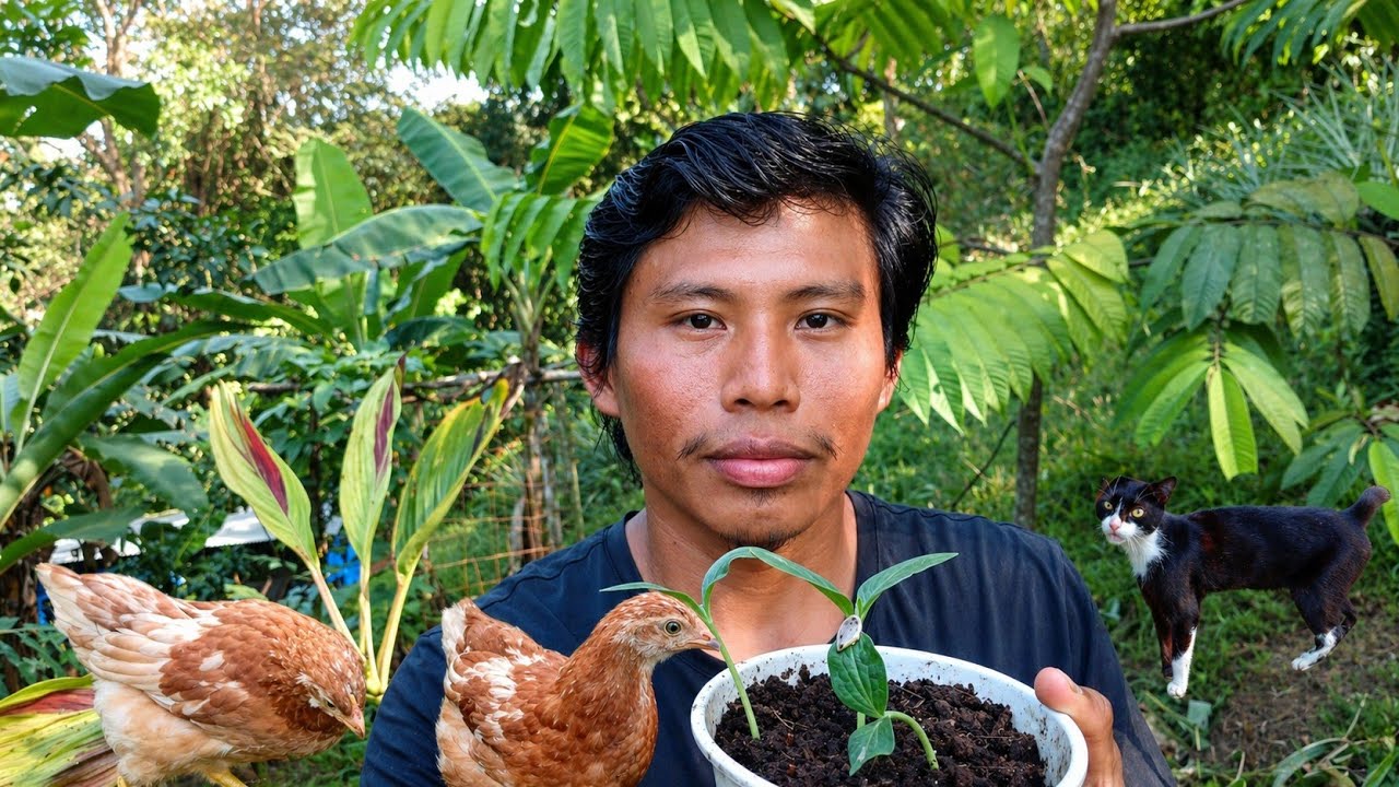 Un Día mas de vida en El Campo