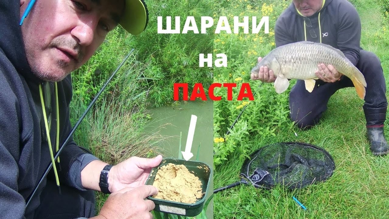 Риболов на шаран на щека - 2 част
