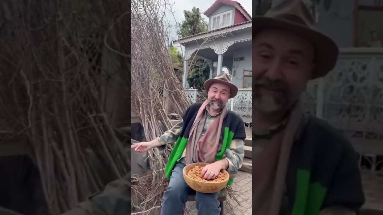 გარდენია შევარდნაძე / ნუშის და სამოთხის ვაშლის ნერგები.