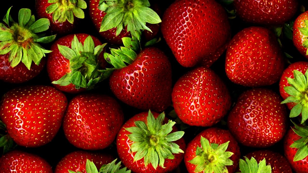 Growing Strawberries in a Container