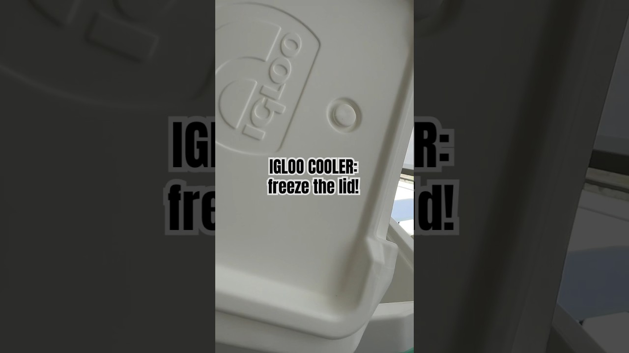 IGLOO cooler tip: freeze the lid! #summerparty #momlife #traveltips #campinglife #tipsandtricks