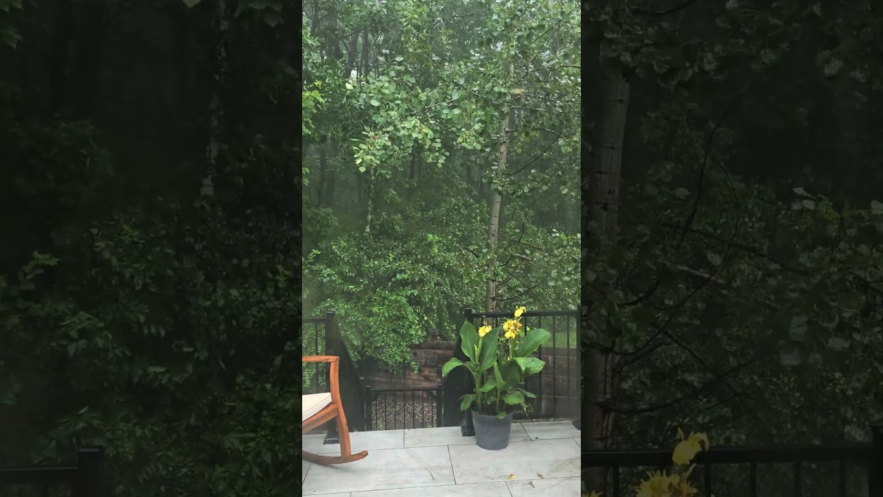 Une journ&eacute;e pluvieuse 🌧☁️             #nature #shorts #dialluvioso #shortvideo #alamaison #encasa
