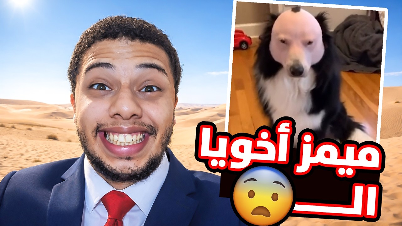 ميمز أخويا الــ😨!! #93 ميمز الحمقى