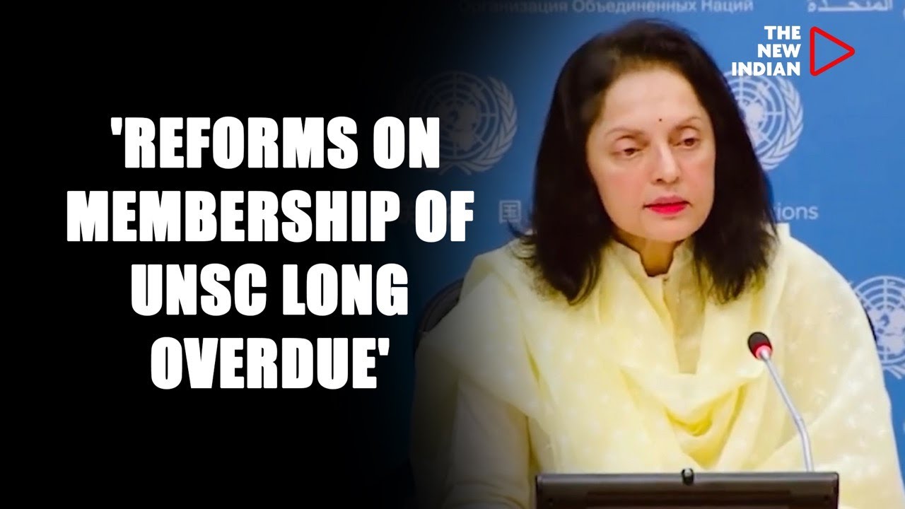 India pushes for reforms in UN Security Council