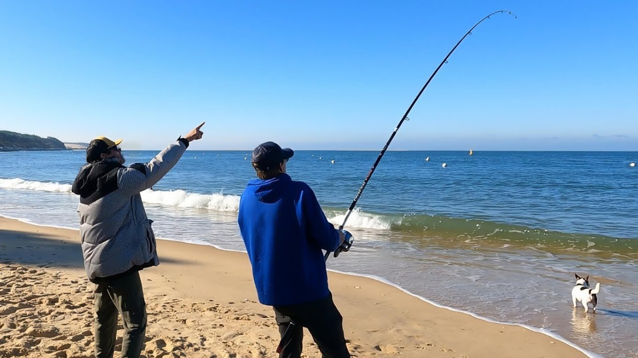 J'explose mon record de la dorade royale, une aventure en surfcasting dans le bassin d'Arcachon 