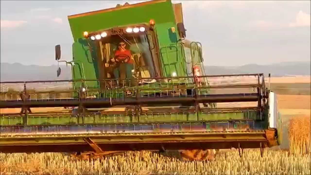 Raps harvest 2014 MVL Agro /HD/