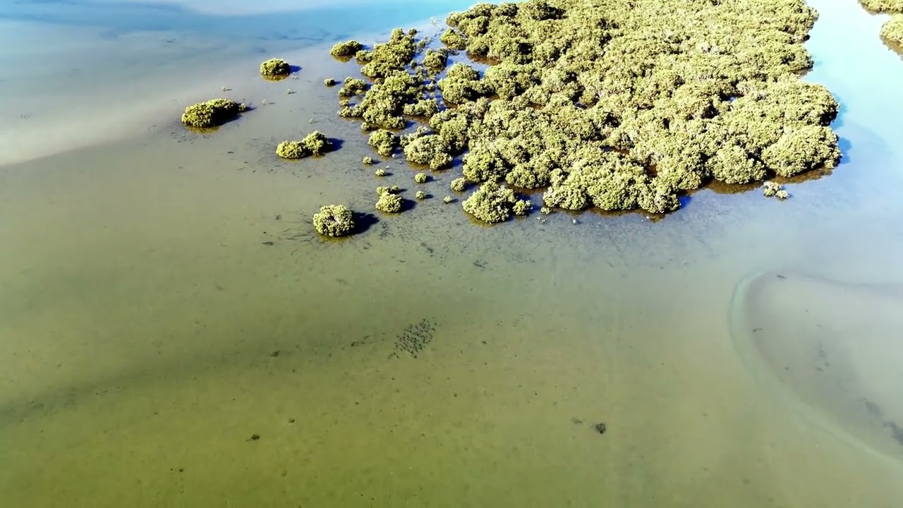 Harbour Matarangi/Whangapoua