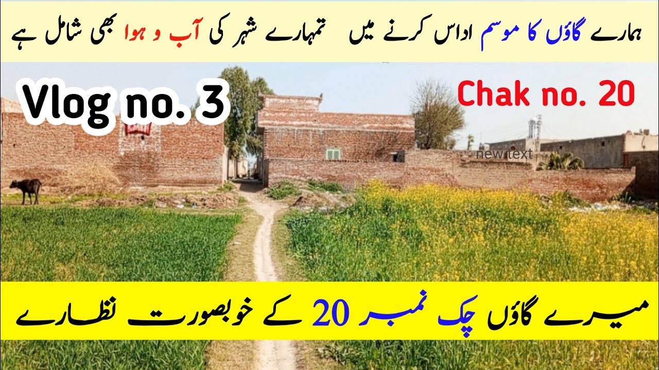 چک نمبر 20 تحصیل ملکوال ضلع منڈی بہاؤالدین -  رکن ملکوال روڈ -  Village Life in Punjab - مسعود مبشر