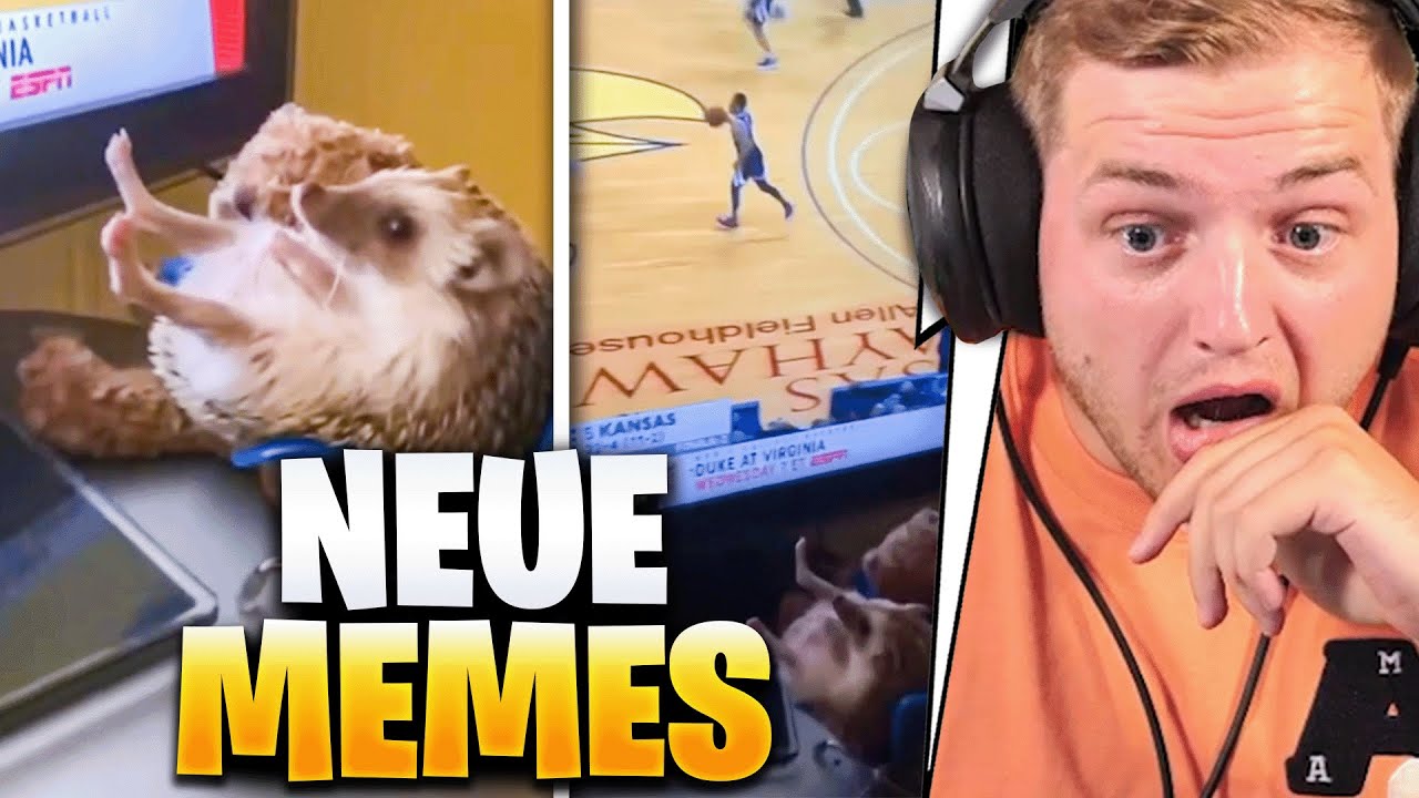 😨🏀IGEL SCHAUT NBA AUF CHILLIG! - REAKTION auf MEMES  | Trymacs Stream Highlights