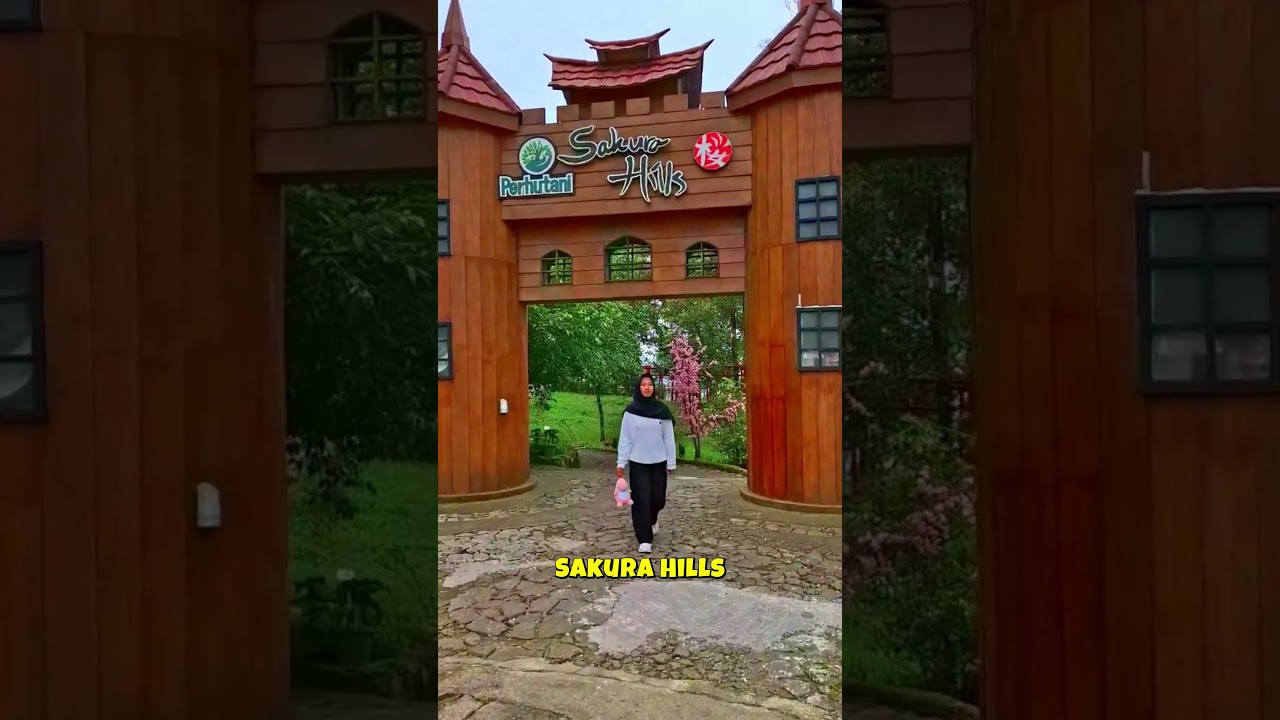 Jalan Jalan di Sakura Hills #karanganyarhitz #wisata #wisatatawangmangu
