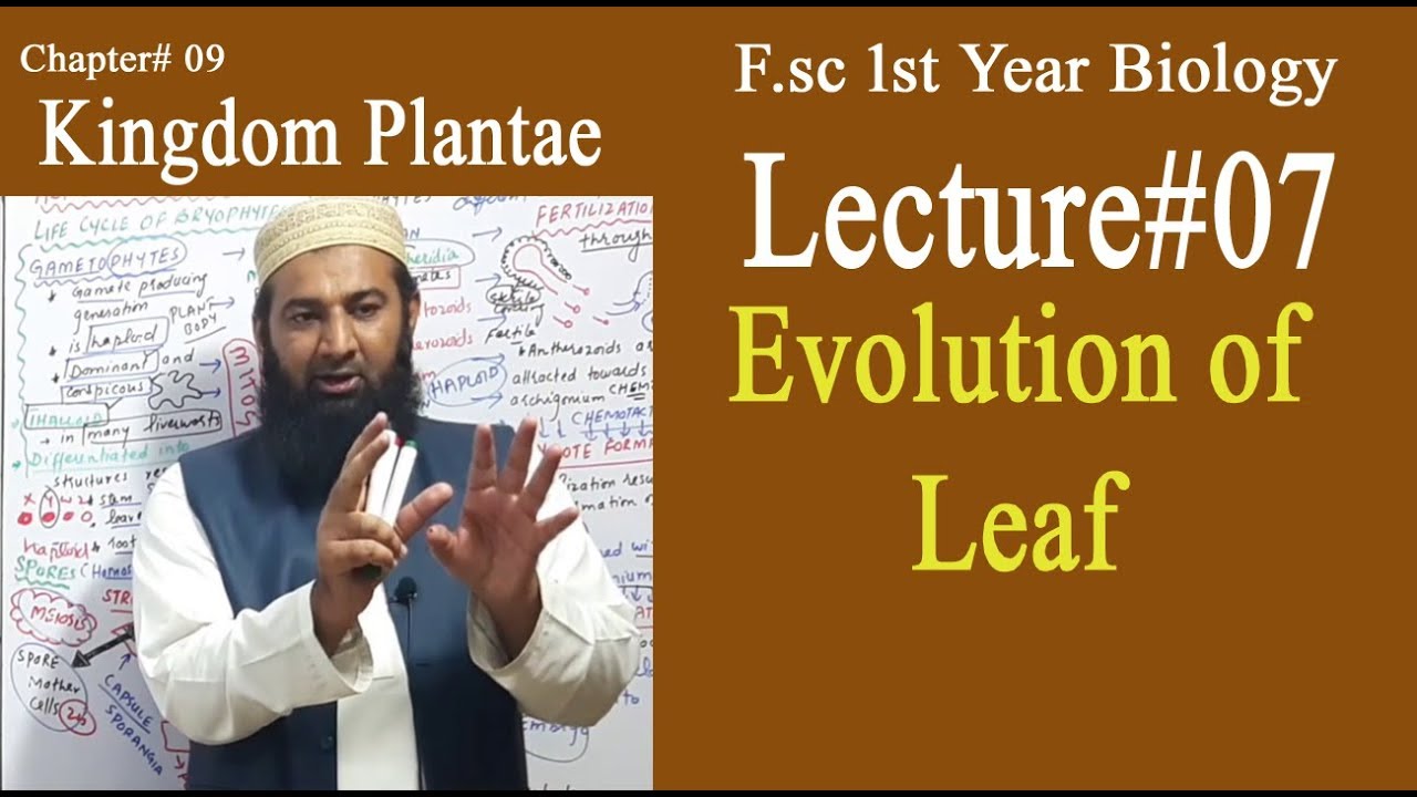 Biology Ch#09-Lecture#07  Evolution of Leaf(F.Sc 1st Year)