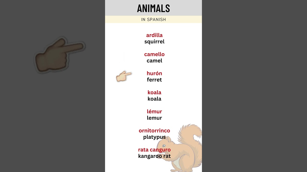 Learn Spanish Vocabulary Words - SimpleSpanish
