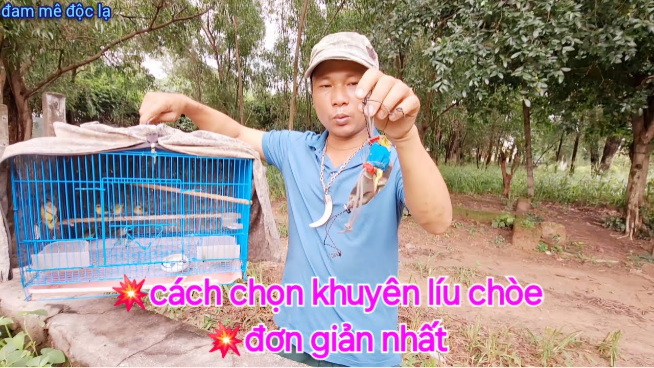 Cách Chọn Khuyên | Khoen | Hay Tố Chất Líu Chòe Đơn Giản Nhất | đam mê độc lạ