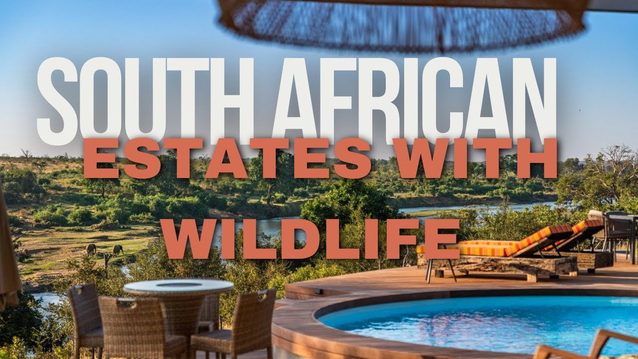Top South African Estates Where Wildlife Roams Free || Safari || Wildlife || Real Estate