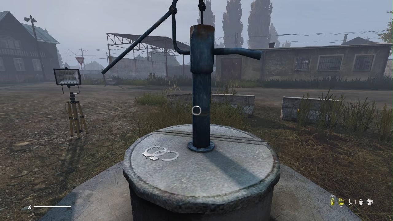 DayZ