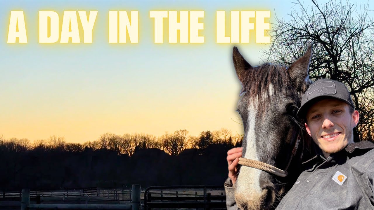 A Real Day in My Life With My Horses (Pure Magic Moments)