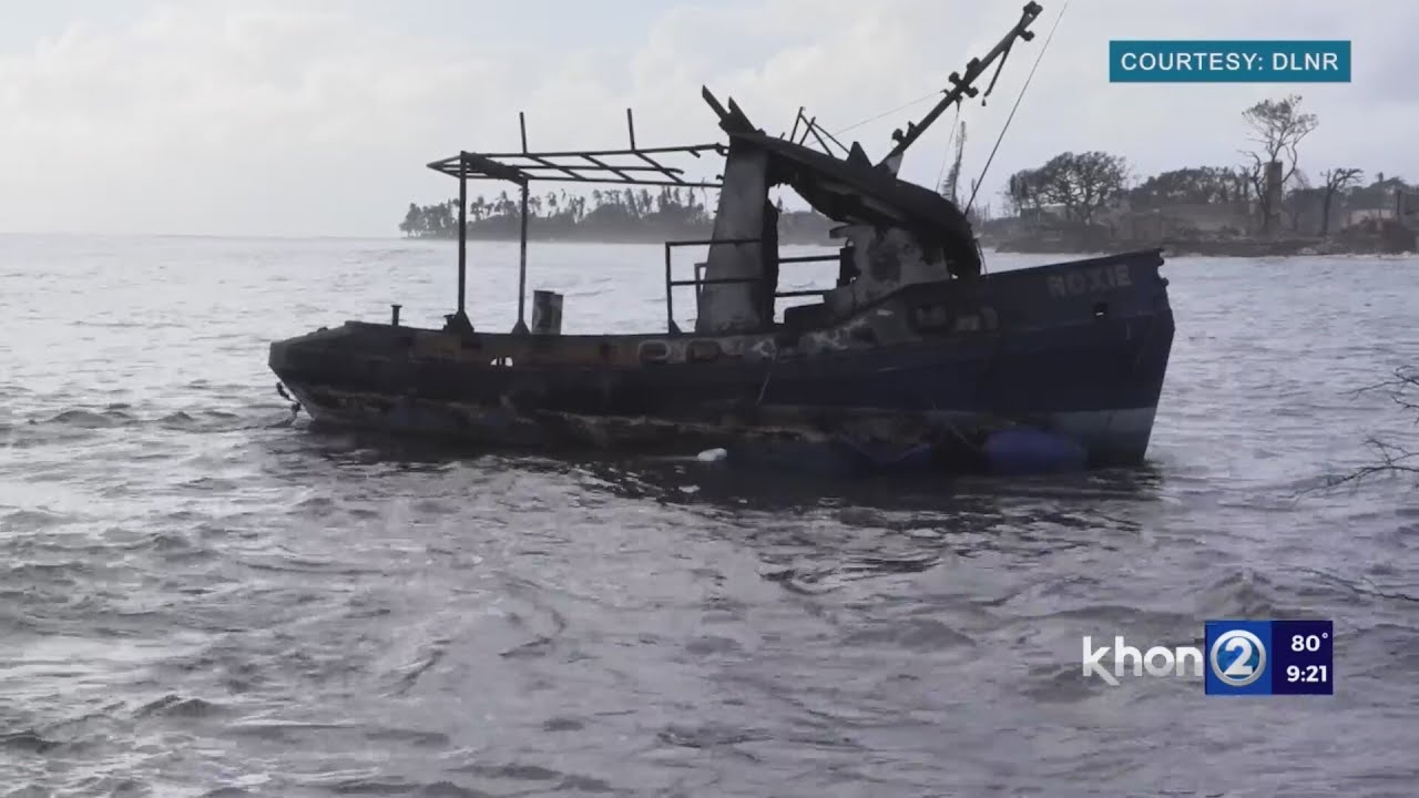 U.S. Coast Guard counted at least 49 sunken vessels in Lahaina Harbor