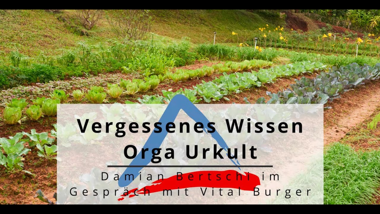 Vergessenes Wissen: Orga Urkult