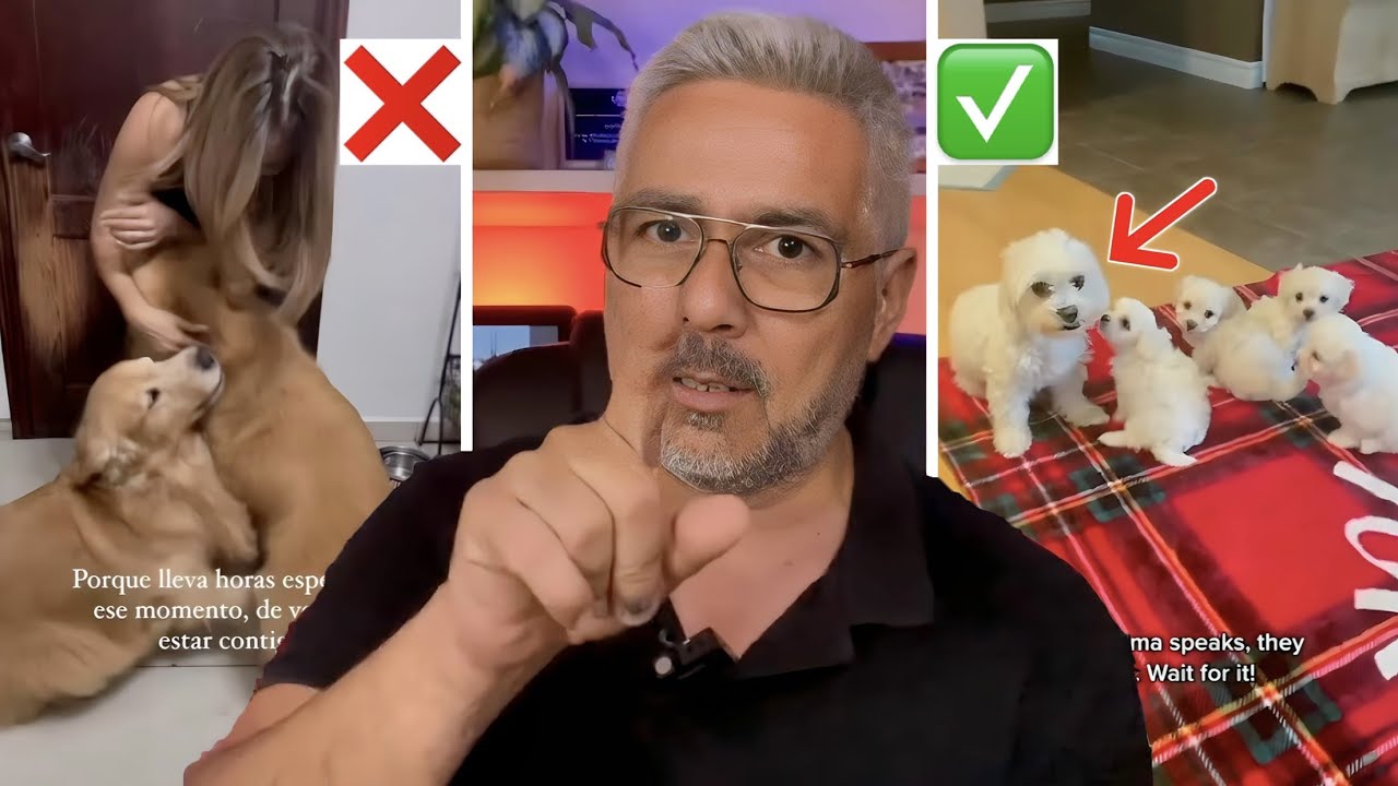 Creo que es el MEJOR VÍDEO que he hecho 🚀 Comportamiento Humano vs. Comportamiento Animal