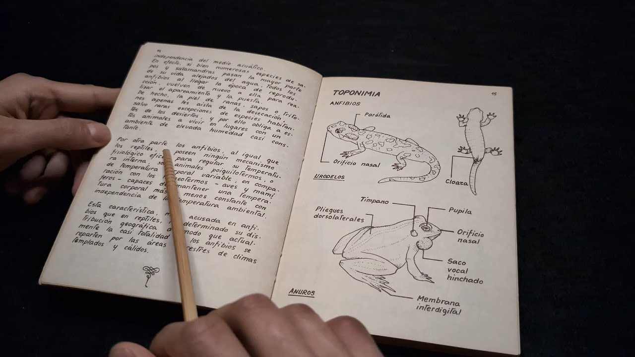 El ASMR Inaudible que Necesitas para Dormir Profundamente